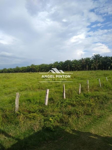 Hacienda en Venta en  Machiques, Zulia