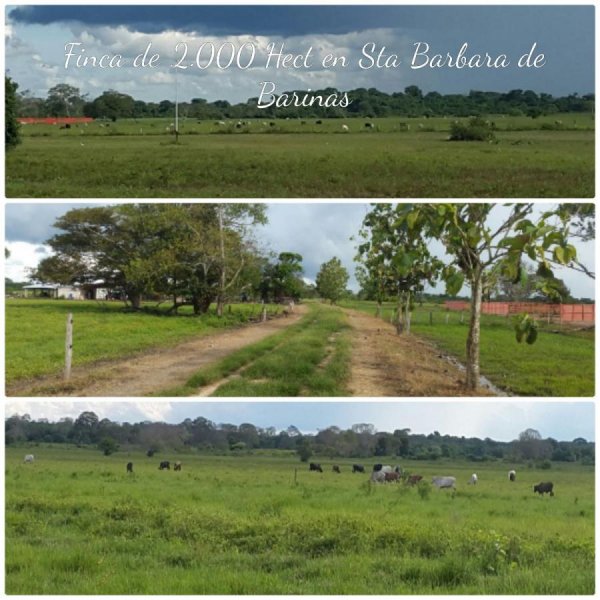 Hacienda en Venta en PAEZ MANTECAL, Apure