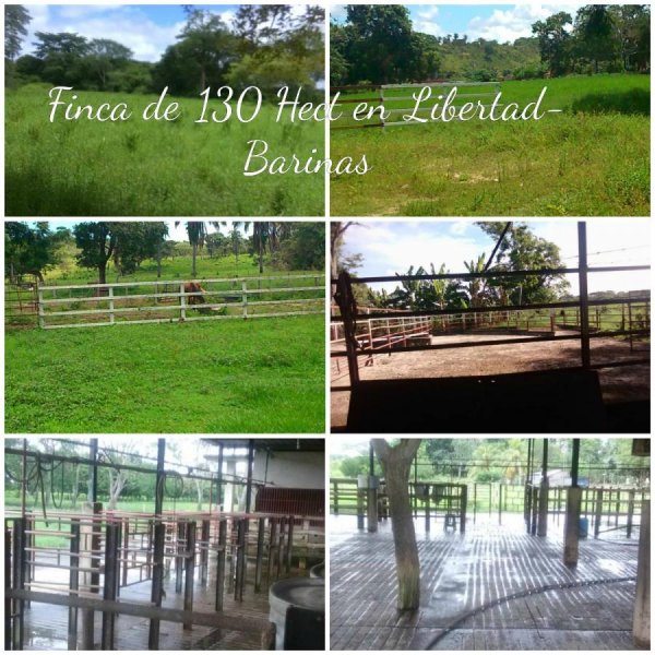 Hacienda en Venta en Achaguas Achaguas, Apure