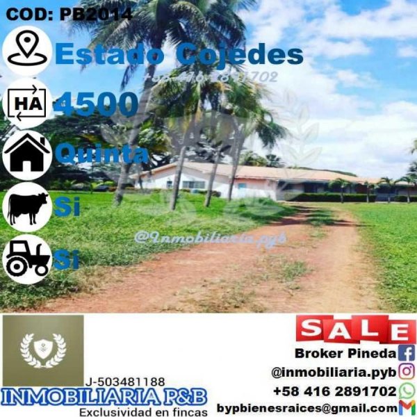 Finca en Venta en  El Pao, Cojedes