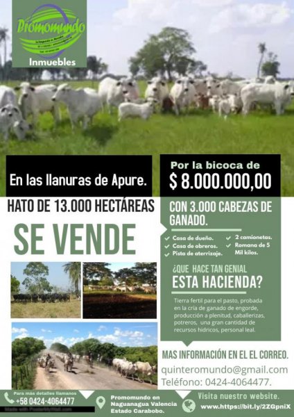 Foto Finca en Venta en Páez, Mantecal, Apure - U$D 7.000.000 - FIV230188 - BienesOnLine