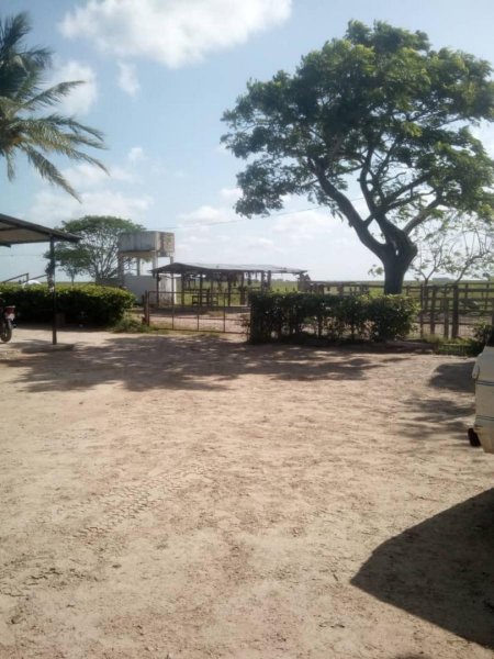 Foto Finca en Venta en San Vicente, Módulos de Apure, Apure - U$D 1.300.000 - FIV173089 - BienesOnLine