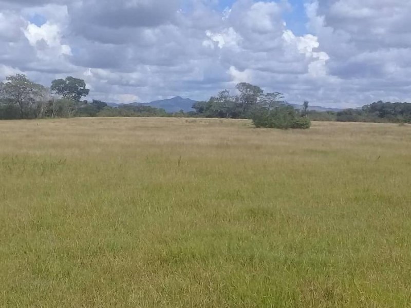 Finca en Venta en  El Pao, Cojedes