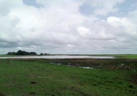 Finca en Venta en guachara Achaguas, Apure