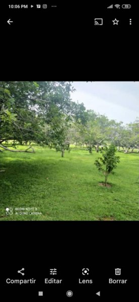 Finca en Venta en San Juan Carretera nacional el Manteco, Bolívar