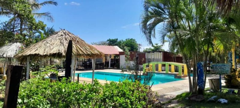 Foto Finca en Venta en falcon, Sector las Lapas Edo Falcon, Falcón - 2 hectareas - U$D 90.000 - FIV229083 - BienesOnLine