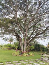 Casa en Venta en  Tocuyito, Carabobo