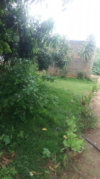 Terreno en Venta en San Andrés Yaritagua, Yaracuy