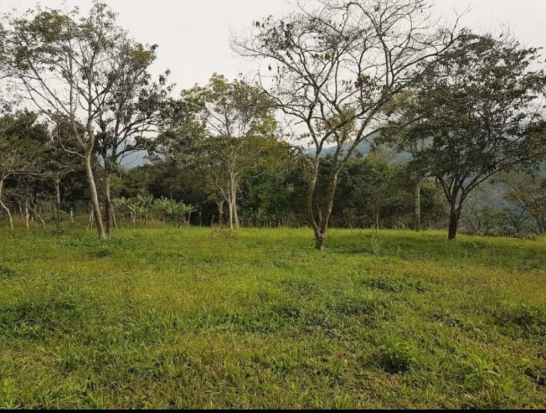 Terreno en Venta en Las Lomas. (Bichoo 2) Boconó, Trujillo