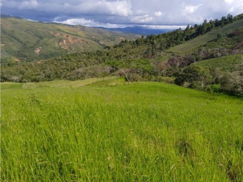 Terreno en Venta en Nirgua Nirgua, Yaracuy