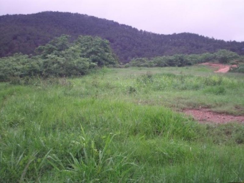 Foto Terreno en Venta en BEJUMA, , Carabobo - BsF 80.000 - TEV18323 - BienesOnLine