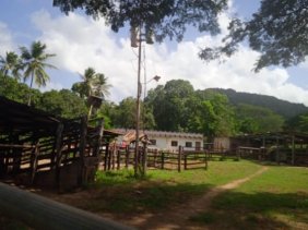 Finca en Venta en  Yaracal, Falcón