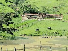 INM. INVERSIONES DEGEMAJO VENDE FINCA GANADERA  DE 110 HAS EN NIRGUA YARACUY TIERRA PROPIAS