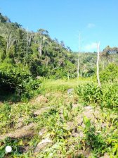 Finca en Venta en  Bejuma, Carabobo