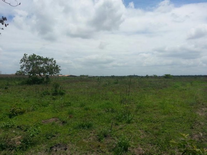 Foto Terreno en Venta en Parare, Maturín, Monagas - 40000 hectareas - TEV90210 - BienesOnLine