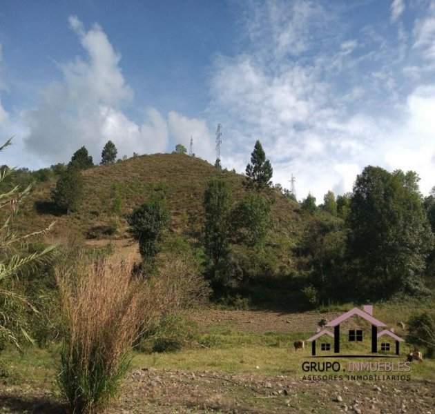 Terreno en Venta en Municipio Libertador Mérida, Mérida