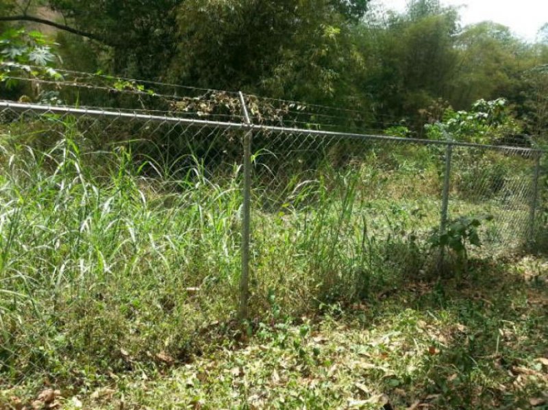 Foto Terreno en Venta en San Diego, Carabobo - BsF 11.000.000 - TEV62642 - BienesOnLine