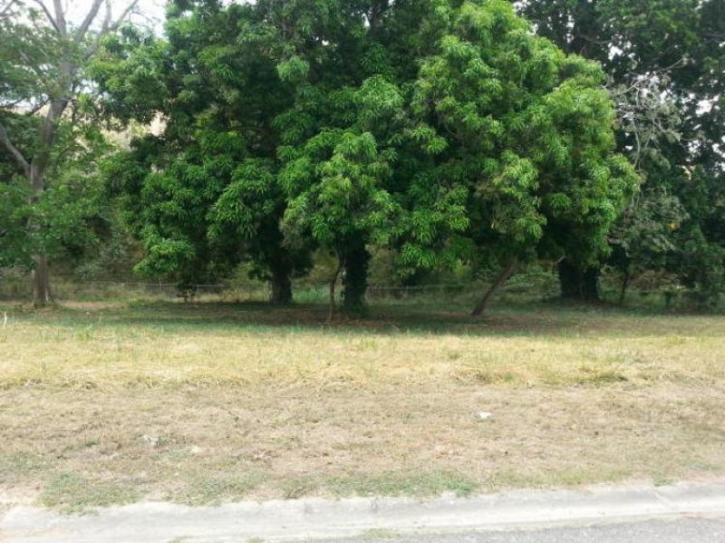 Foto Terreno en Venta en , Carabobo - BsF 11.000.000 - TEV62643 - BienesOnLine