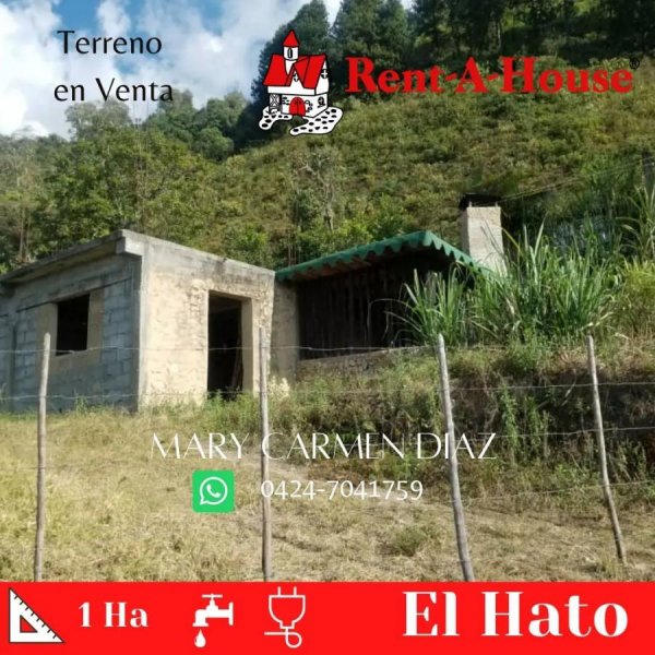 Foto Finca en Venta en Boconó, Trujillo - 1 hectareas - U$D 15.000 - FIV165154 - BienesOnLine