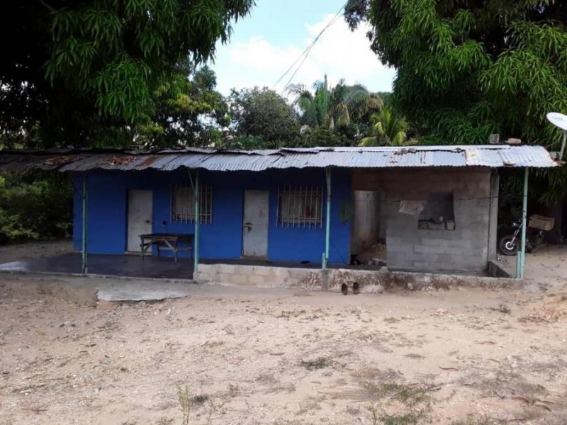 Finca en Venta en Orupe, Charco Largo Tinaco, Cojedes