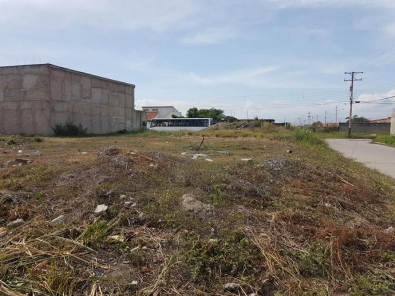 Foto Terreno en Venta en Aguasal, Guacara, Carabobo - U$D 3.500 - TEV138194 - BienesOnLine