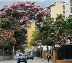Apartamento en Alquiler en Leoncio Martínez Caracas, Distrito Federal
