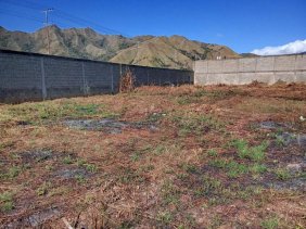 Terreno en Venta en GUACARA Guacara, Carabobo