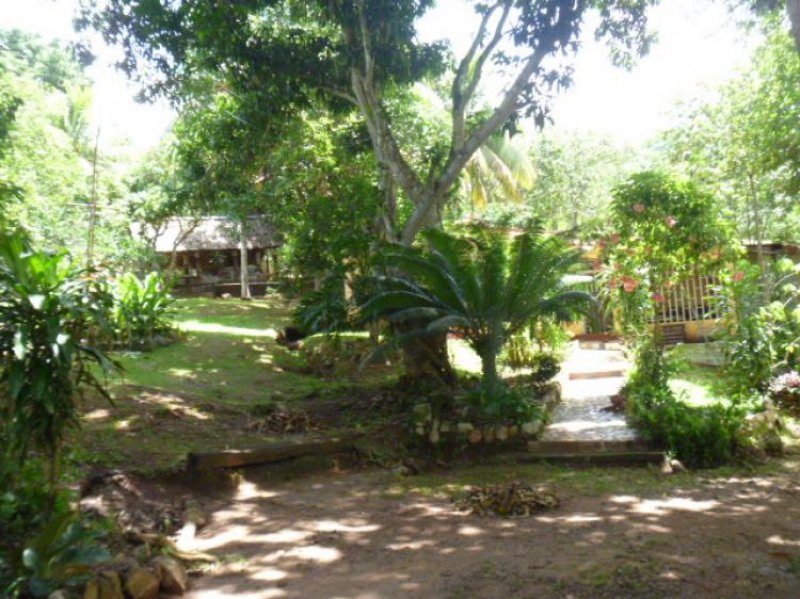 Foto Finca en Venta en Ciudad Guayana, Bolívar - 28 hectareas - BsF 250.000 - FIV28034 - BienesOnLine