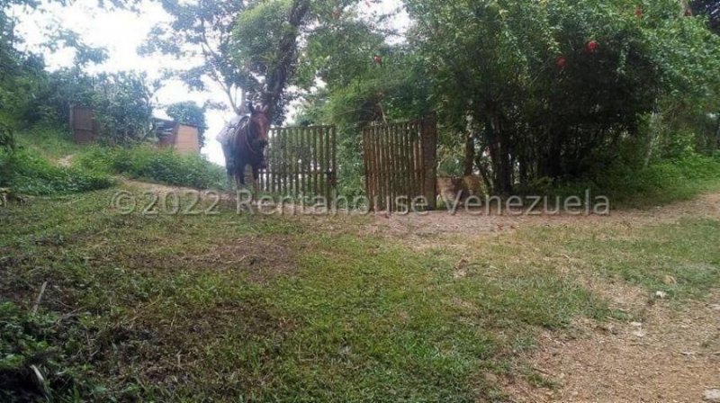 Foto Terreno en Venta en Turgua, Municipio el Hatillo, Distrito Federal - U$D 80.000 - TEV183767 - BienesOnLine