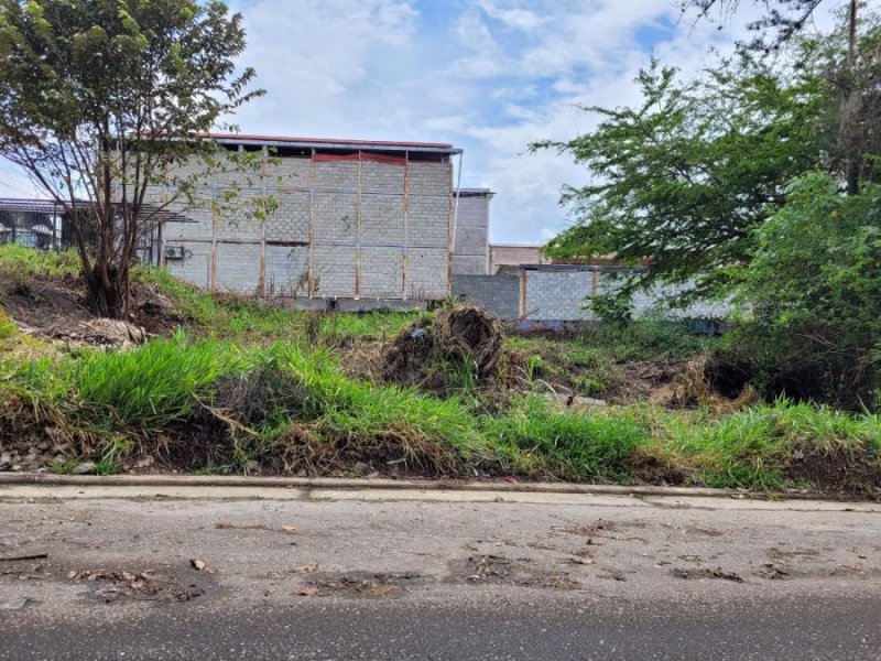 Foto Terreno en Venta en Mérida, Mérida - U$D 25.000 - TEV138591 - BienesOnLine