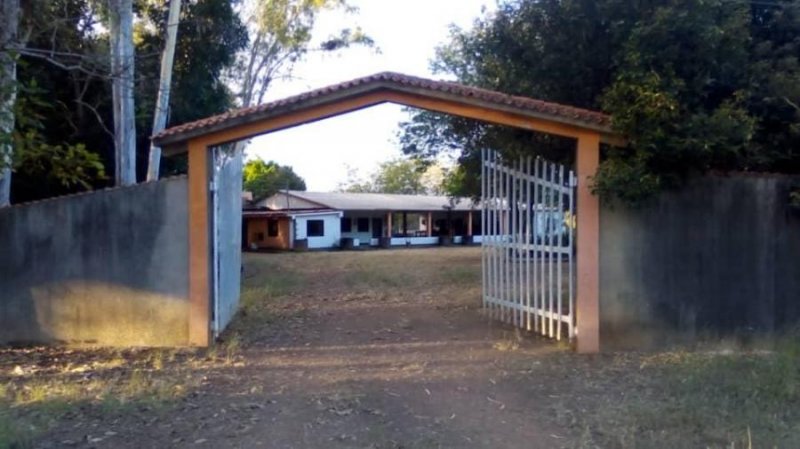 Se Vende Finca 800 Hectáreas, Guárico, El Sombrero, MARZO 2025