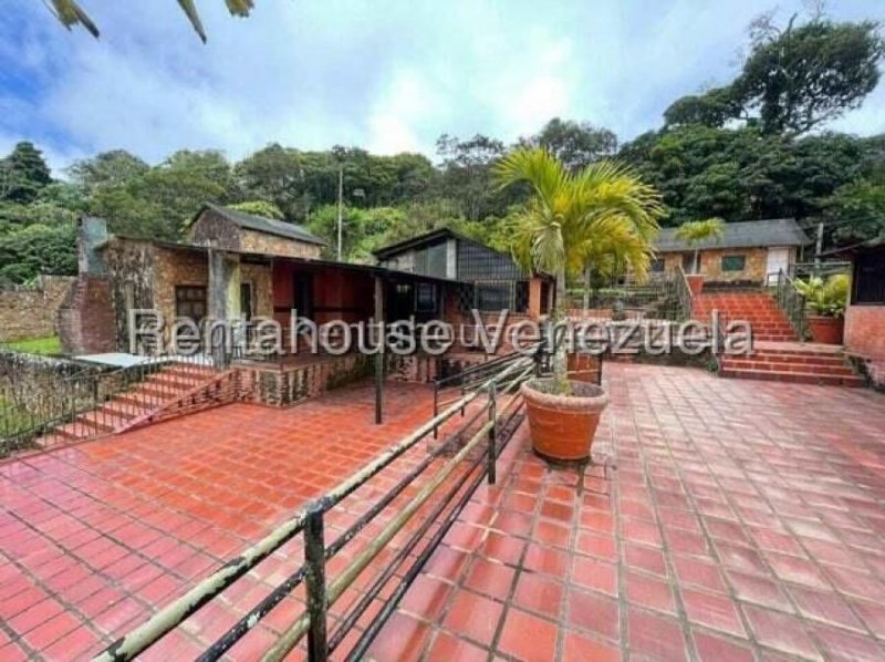 Foto Local en Venta en Punto Fijo, Falcón - U$D 80.000 - LOV243923 - BienesOnLine