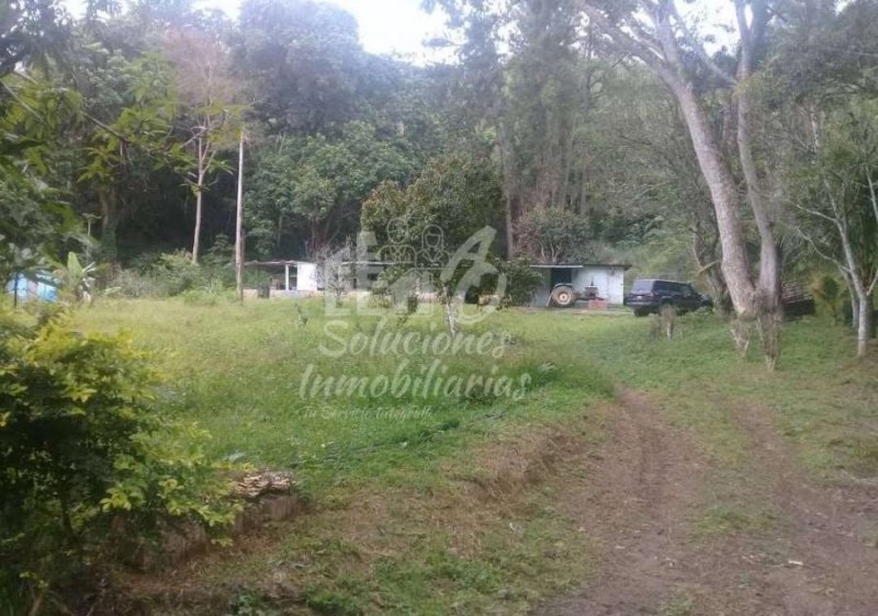 Finca en Venta en  Bejuma, Carabobo