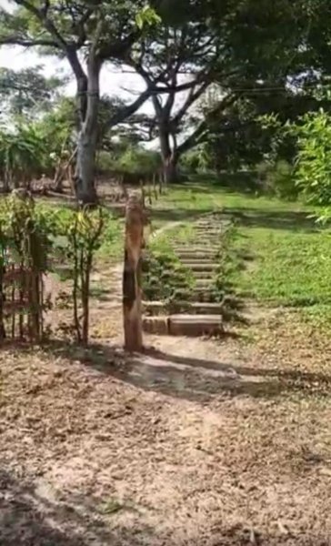 Finca en Venta en elorza Elorza, Apure