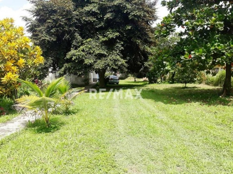 Foto Terreno en Venta en El Polvero, San Diego, El Polvero, San Diego, Carabobo - U$D 100.000 - TEV156796 - BienesOnLine