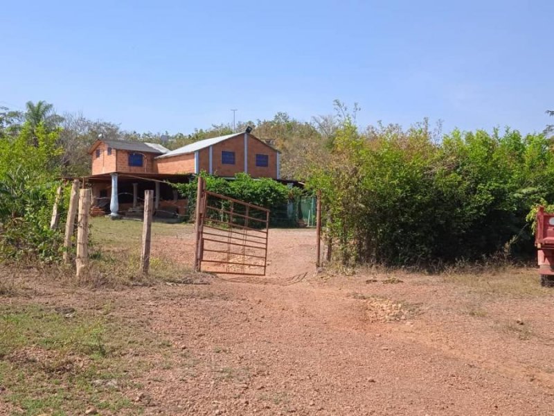 Foto Finca en Venta en @phagrovzla, 106 Hectáreas, para Siembra y Ganadería, Cojedes - 106 hectareas - U$D 130.000 - FIV185447 - BienesOnLine