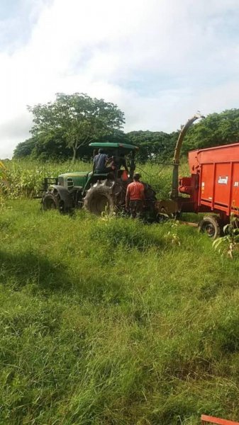 Finca en Venta en @phagrovzla Unidad de Producción Siembra a Gran Escala, Barinas