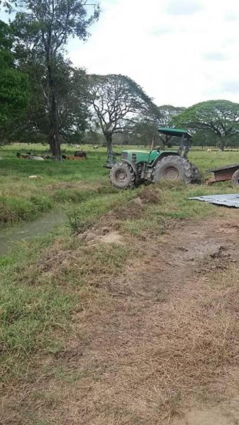 Finca en Venta en @phagrovzla Ganadería Cría Levante y Ceba Ordeño Bufalas, Barinas