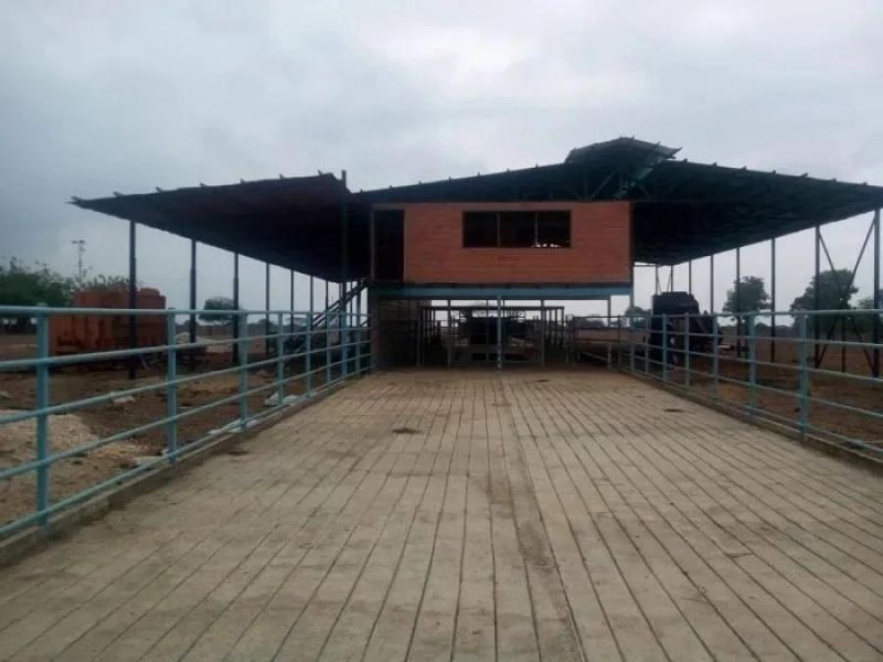 Finca en Venta en @phagrovzla Ciudad de Cojedes, Cojedes