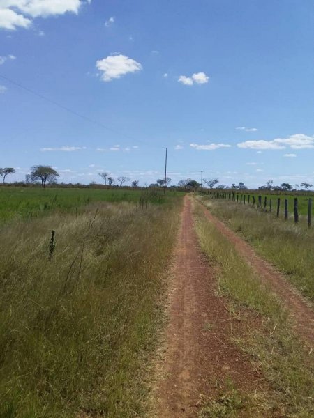 Se Vende 370 Hectáreas Ganaderas, Cojedes, 2025