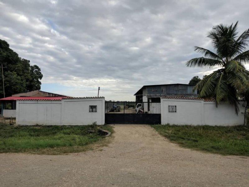 Finca en Venta en Inmobiliaria Agroindustrial Ciudad de Cojedes, Cojedes