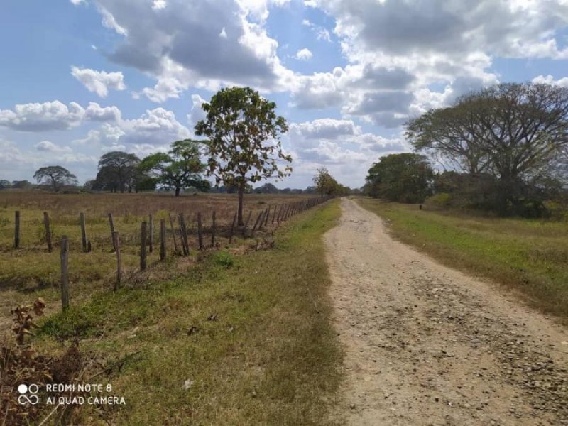 Finca en Venta en @phagrovzla Acarigua, Portuguesa