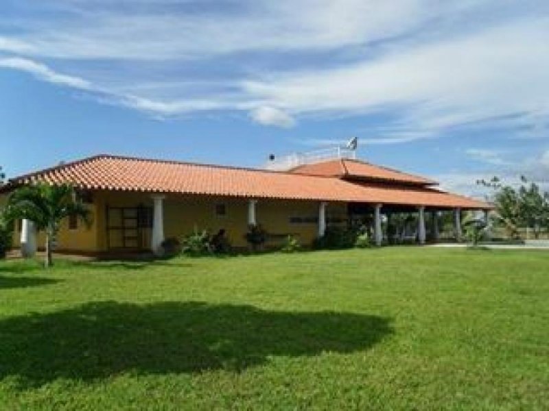 Foto Finca en Venta en Santa Ana, Santa Ana, Anzoátegui - U$D 550.000 - FIV115898 - BienesOnLine