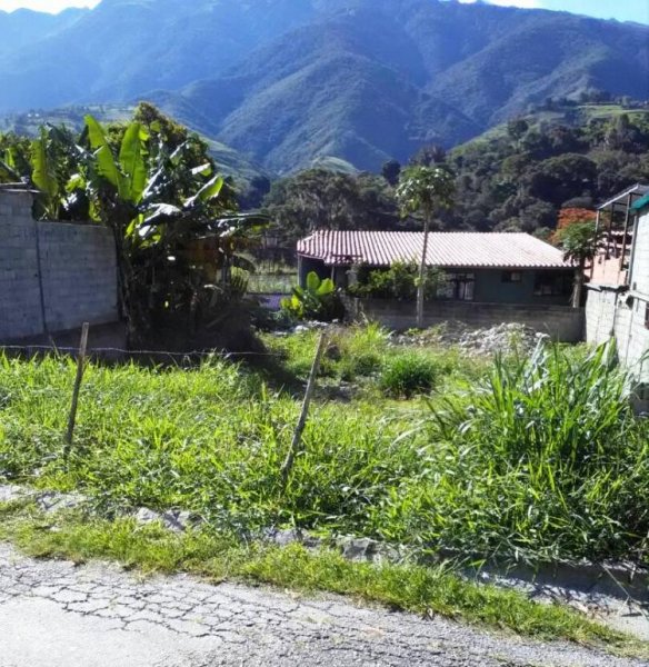 Foto Terreno en Venta en Parroquia Tabay, Tabay, Mérida - BsF 150.000 - TEV103177 - BienesOnLine