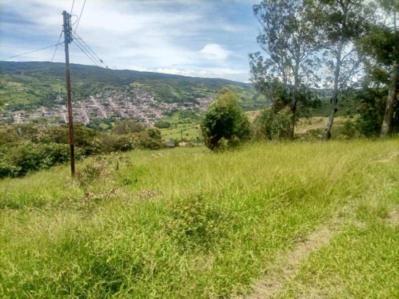 Oficina en Venta en Independencia Cerro la laguna, Táchira