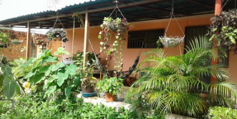 Foto Casa en Venta en Flor amarillo, , Carabobo - BsF 18.000.000 - CAV78935 - BienesOnLine