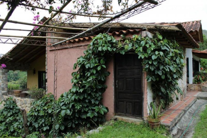 Casa en Venta en  Mérida, Mérida