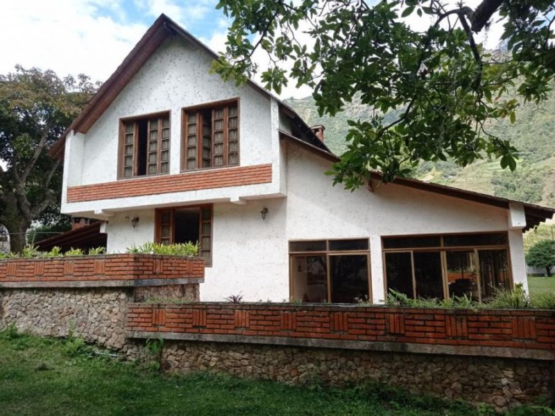 Casa en Venta en Sector el Molino, La Puerta Estado Trujillo Valera, Trujillo