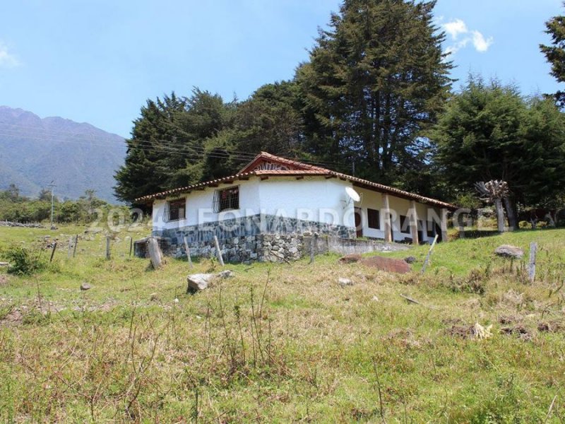 Se Vende Esta Hermoso Finca De 3 Hectáreas En El Valle, Mérida.