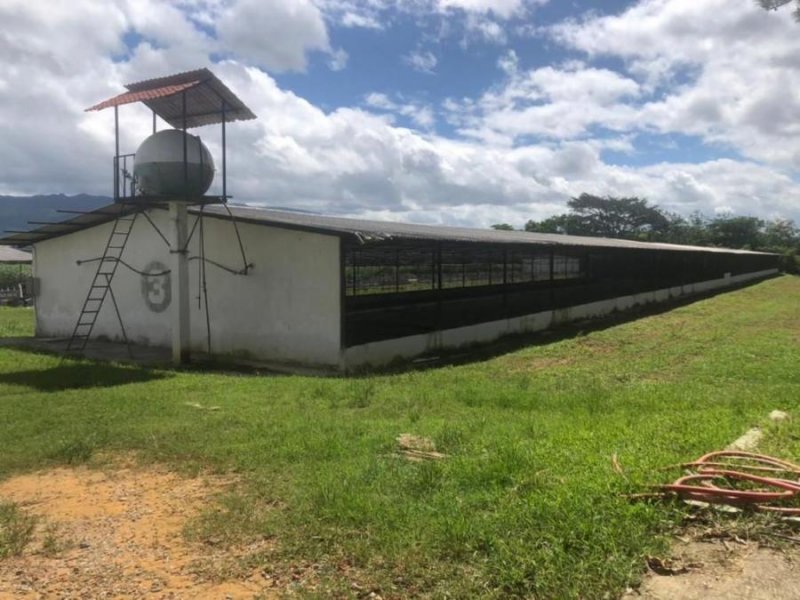 Finca en Venta en Yaracuy Nirgua, Yaracuy